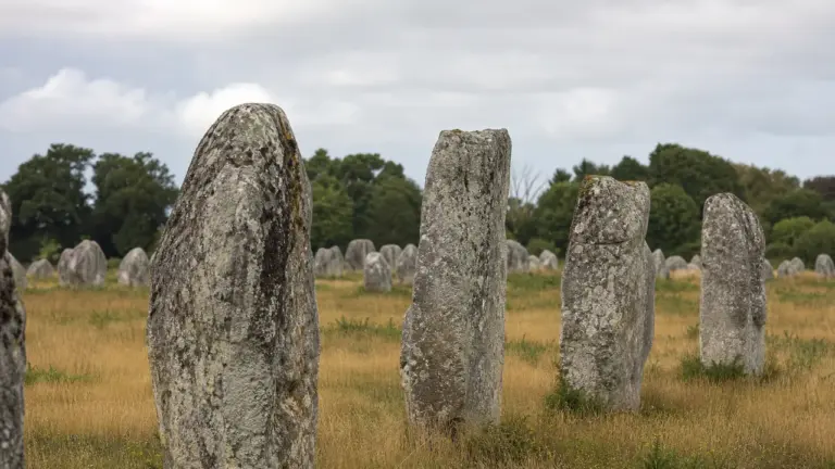 Alignements de Carnac, rangée de menhirs dans les champs