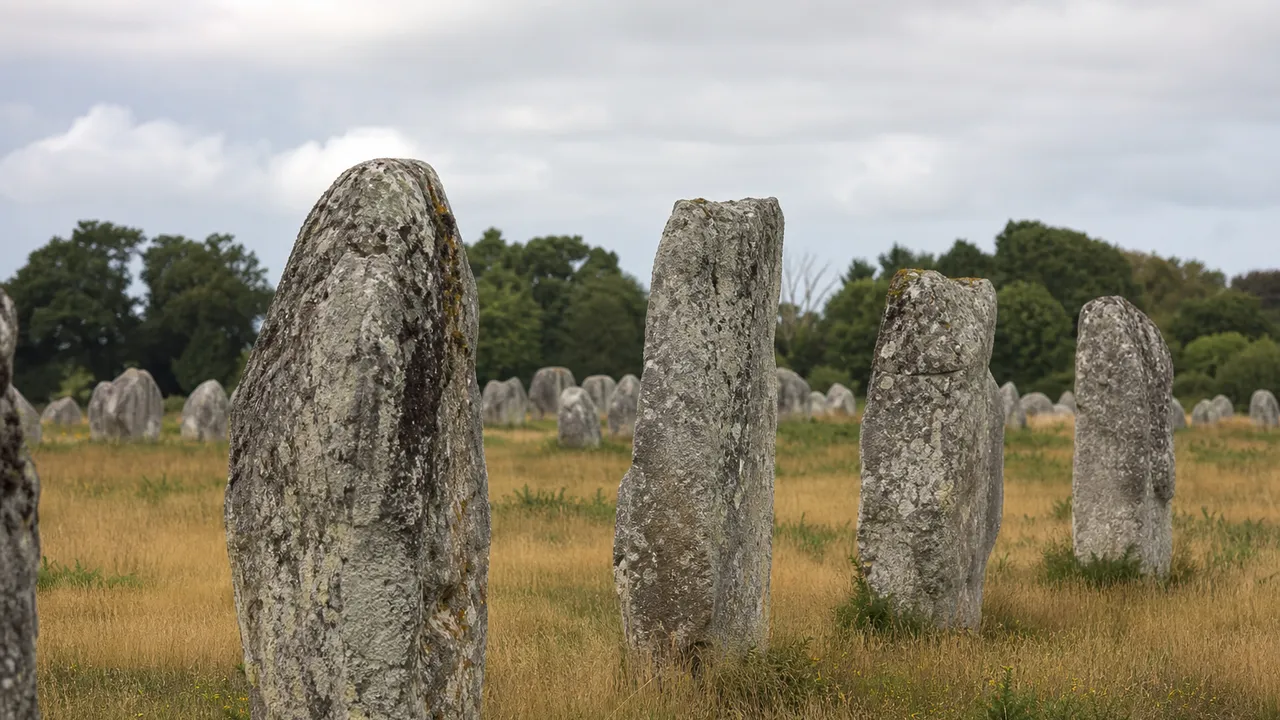 Alignements de Carnac, rangée de menhirs dans les champs